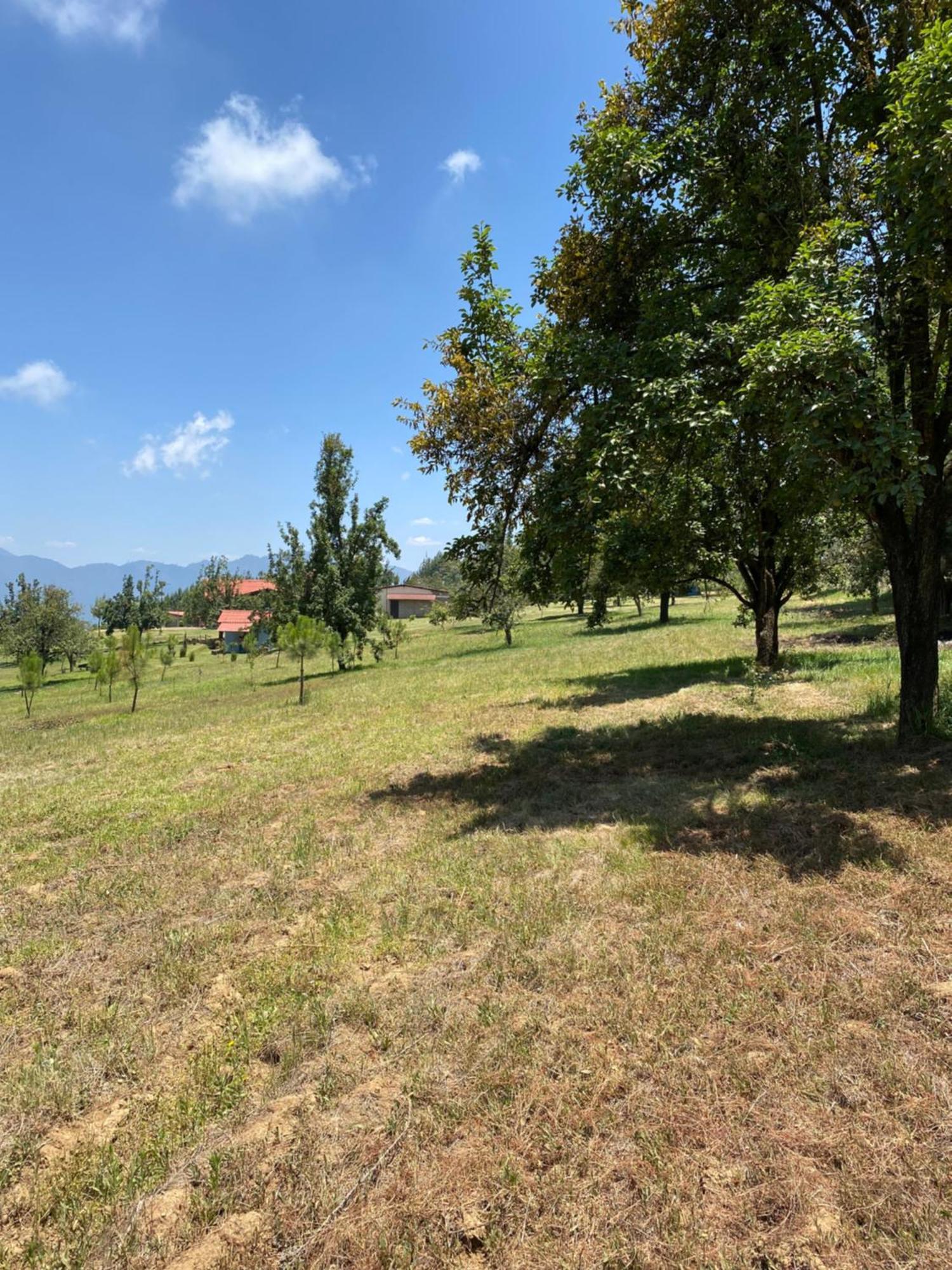 Cabanas Huerta La Mision, Zacatlán 외부 사진